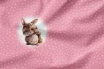 Vorbestellung * Leo Hasi* Eigenproduktion - 1 - Rosa